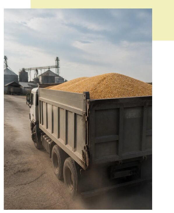 Перевозка сельхозпродукции навалом в Серпухов по цене от 3048 р. | Агросервис-Срп